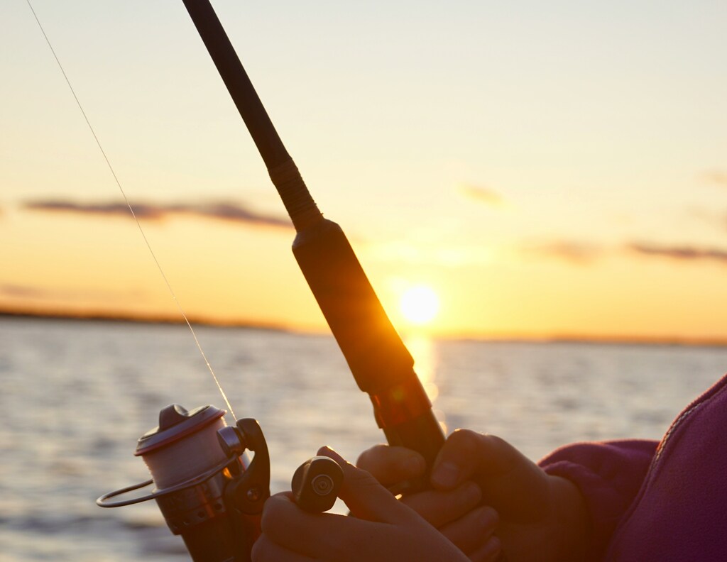 Fishing License Pic : Zap Consulting - Upsplash